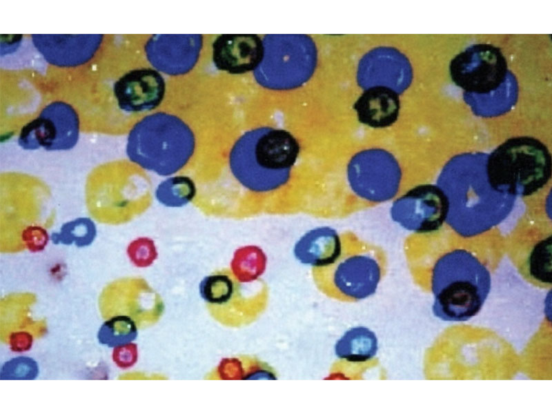 Flexo-Printing-Defects-of-Doughnuts Flexodruckfehler bei Donuts