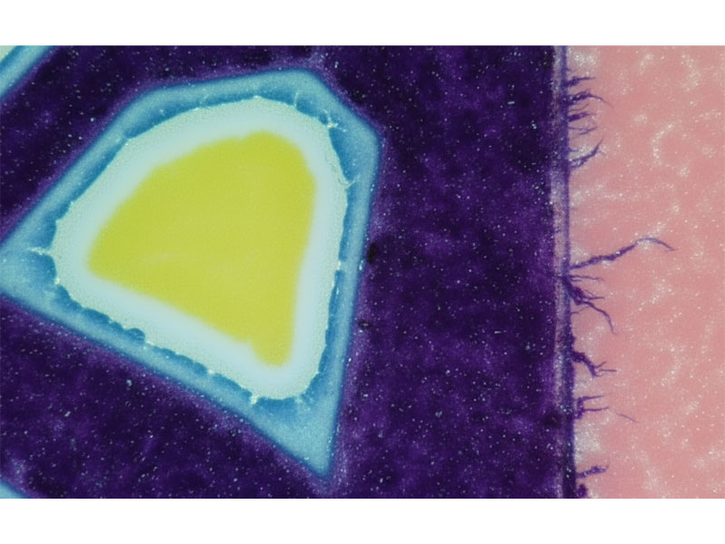Excessive-Dot-Gain-of-Halo-Effect Übermäßiger Dot-Gain-of-Halo-Effekt